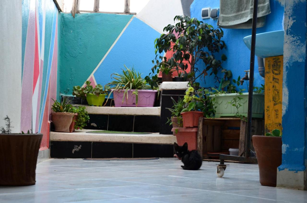 Tayought Surf Hostel تغازوت المظهر الخارجي الصورة