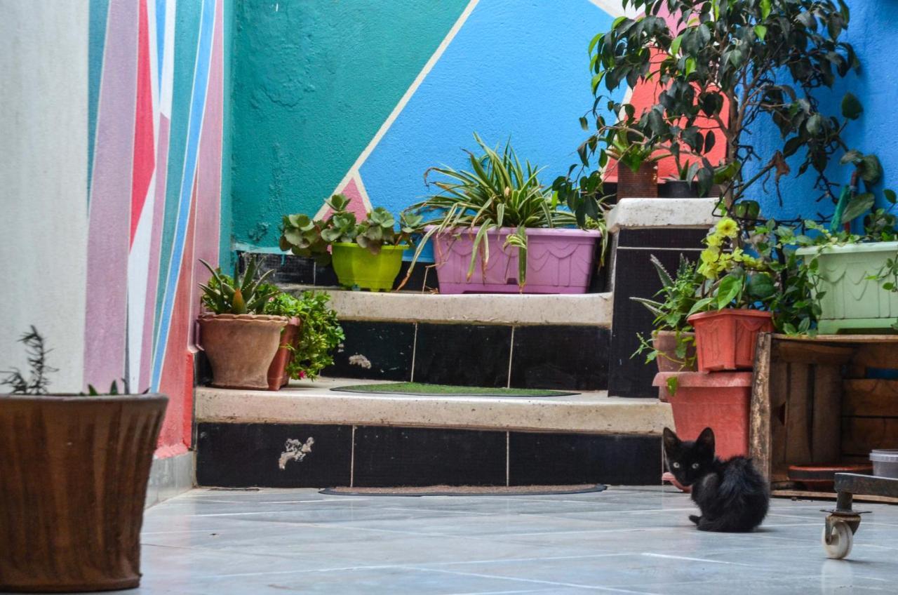 Tayought Surf Hostel تغازوت المظهر الخارجي الصورة