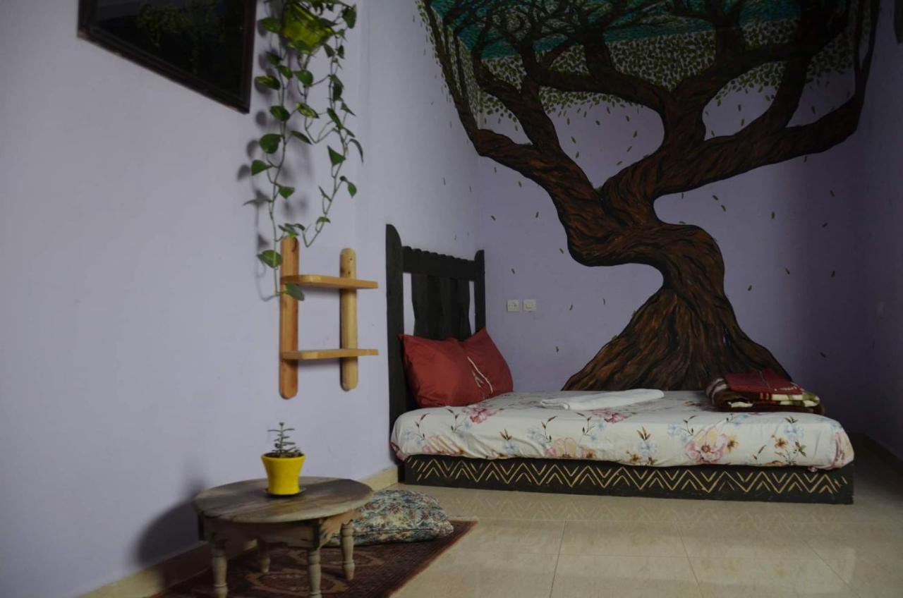 Tayought Surf Hostel تغازوت الغرفة الصورة